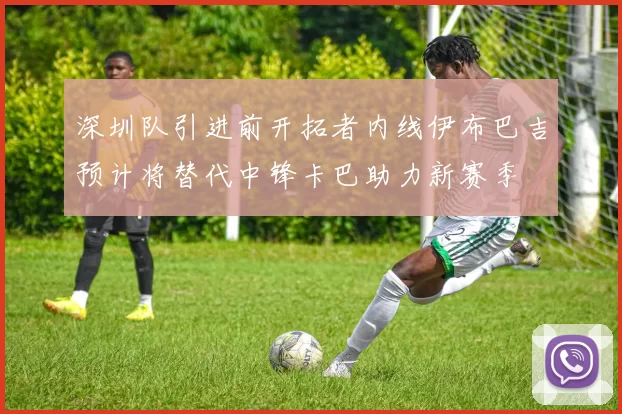 深圳队引进前开拓者内线伊布巴吉预计将替代中锋卡巴助力新赛季